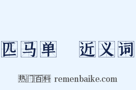 匹马单鎗近义词是什么意思的图片